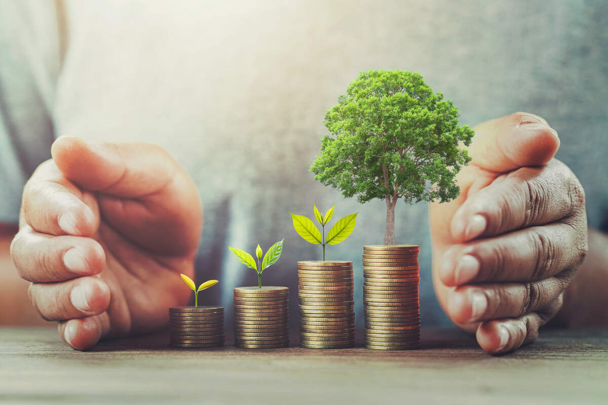 Blog Post Image: Investing Tips